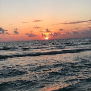 Meet your Posher, Danelle